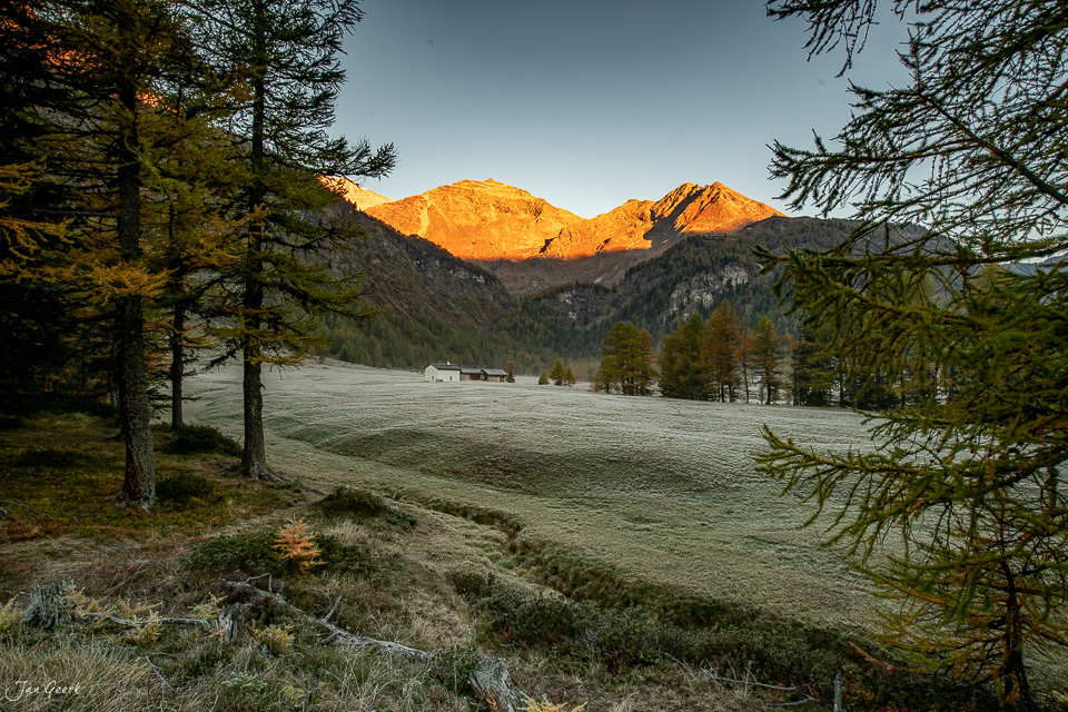 Herbstliche Berglandschaft in Poschiavo mit Lärchen, gefrosteter Wiese und goldener Sonnenlicht-Stimmung, Schweiz – Jan Geerk Fotograf Basel