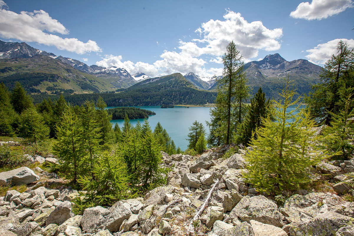 Silsersee mit türkisblauem Wasser Engadin Sommer Graubünden Schweiz Jan Geerk
