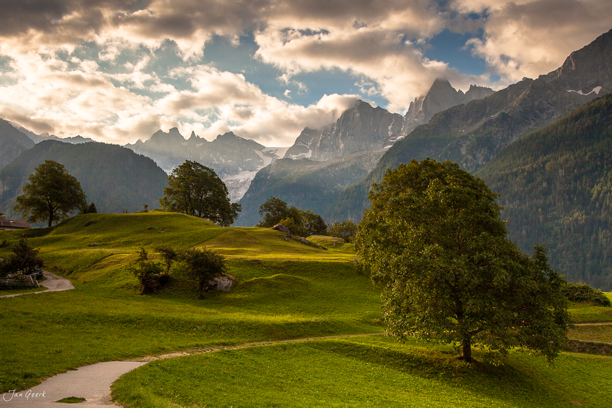 Alpwiese mit Lärchen Bergell Sommersonnenschein Engadin Graubünden Schweiz Jan Geerk Fotograf Basel