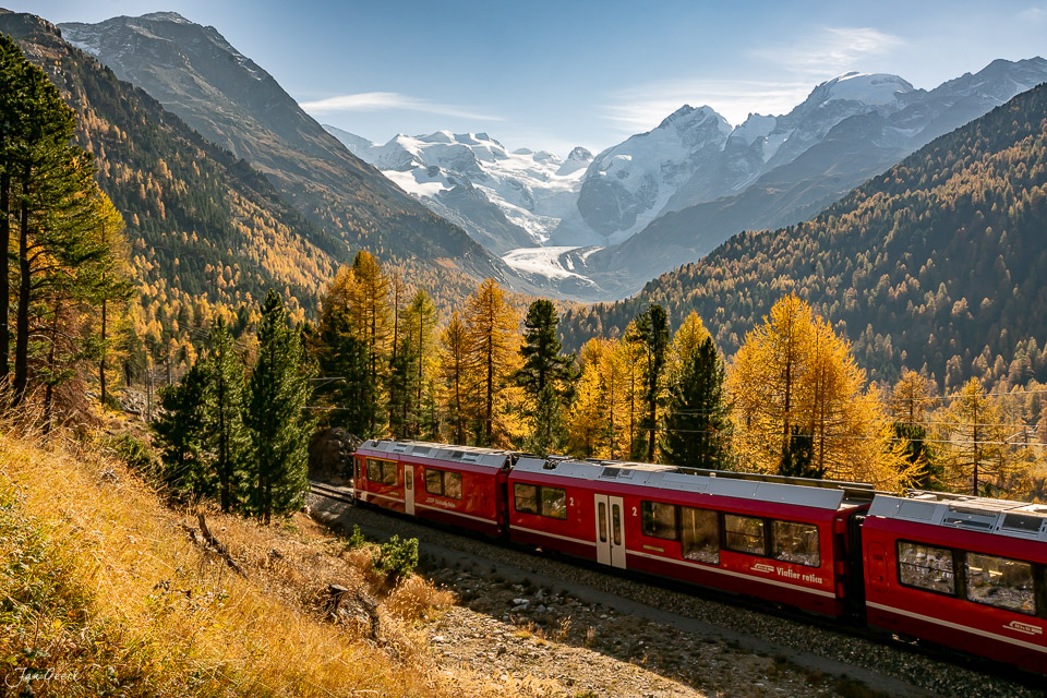 Rhätische Bahn RhB Zug bei Morteratsch mit Piz Bernina, goldene Lärchen im Herbst, Graubünden Schweiz – Jan Geerk Fotograf Basel