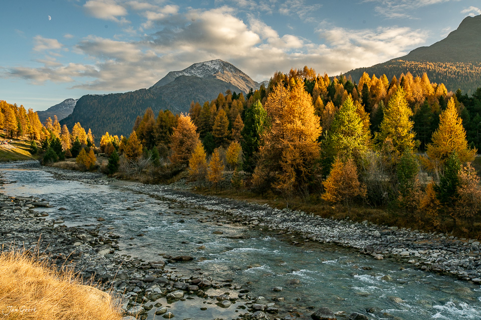 Herbstliche Lärchenwälder am Morteratschgletscher mit Bergpanorama, goldenes Kantlicht, Graubünden Schweiz – Jan Geerk Fotograf Basel