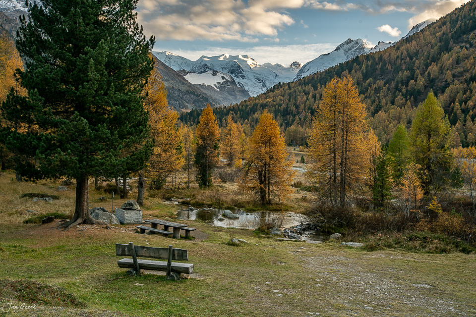 Herbstliches Lärchen-Picknickplatz im Engadin mit schneebedeckten Bernina-Gletschern im Hintergrund, goldenes Kantlicht, Schweiz – Jan Geerk Fotograf Basel