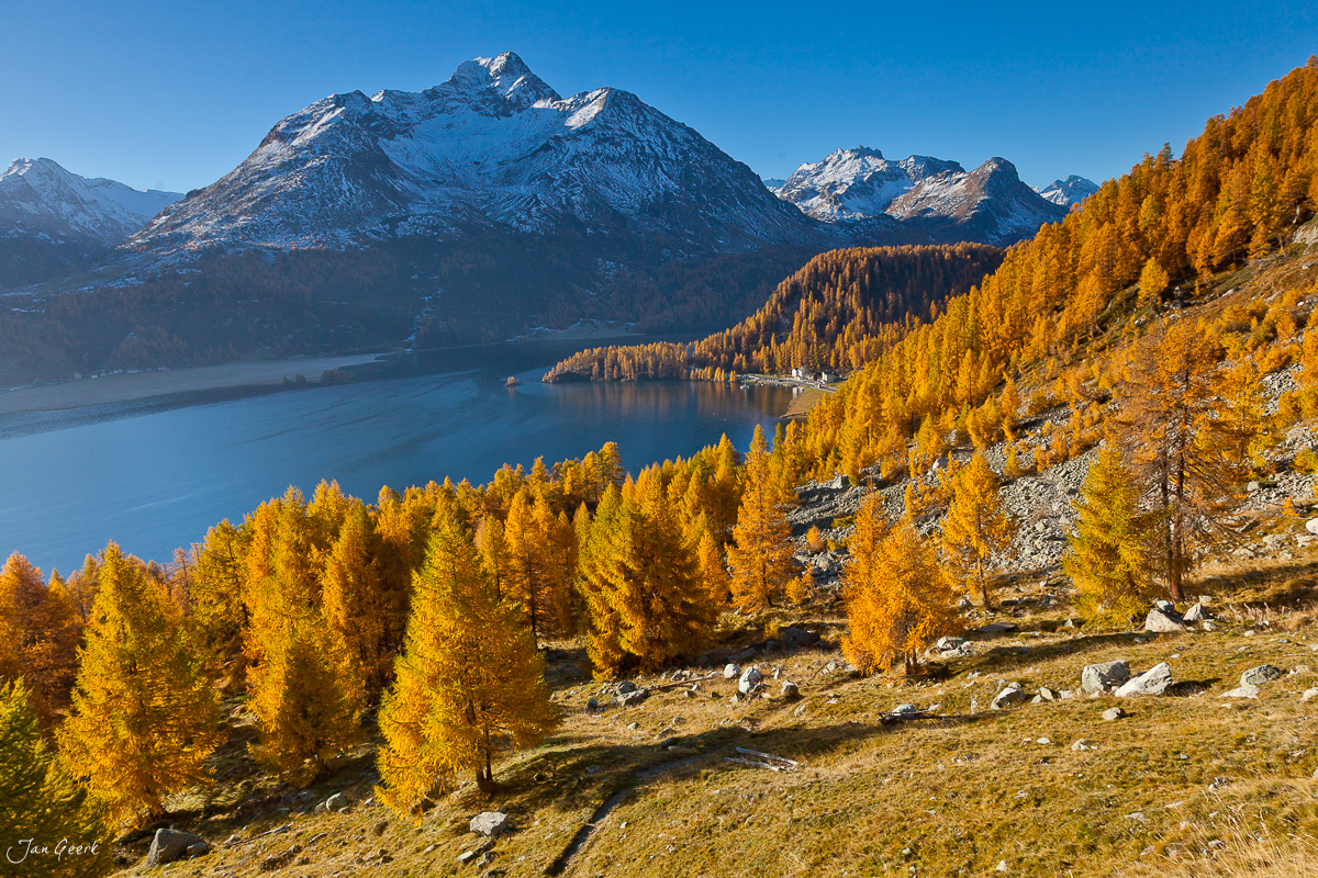 Herbstliche Lärchenwälder Engadin Silsersee Sonnenlicht Graubünden Schweiz Jan Geerk Fotograf Basel