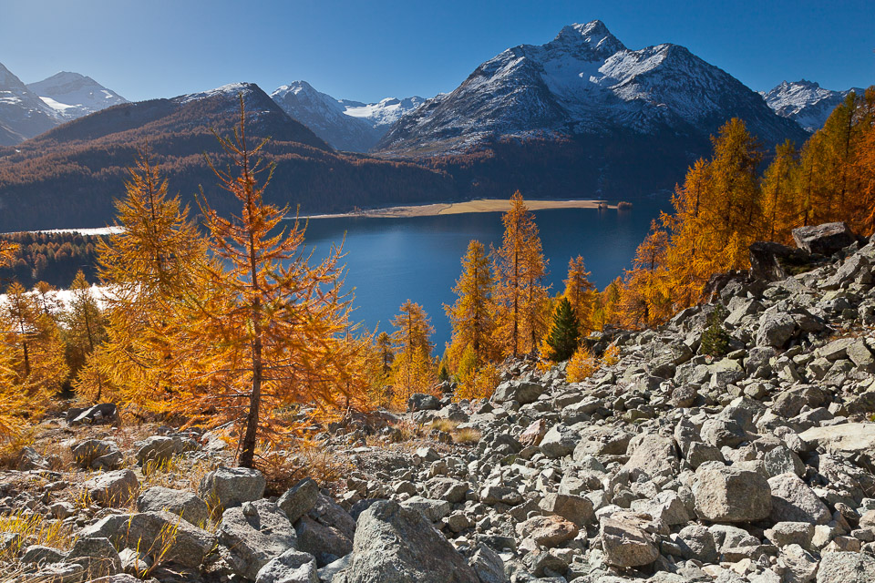 Lärchenwälder Herbst Engadin Schweiz Jan Geerk Fotograf Basel Bergsee golden