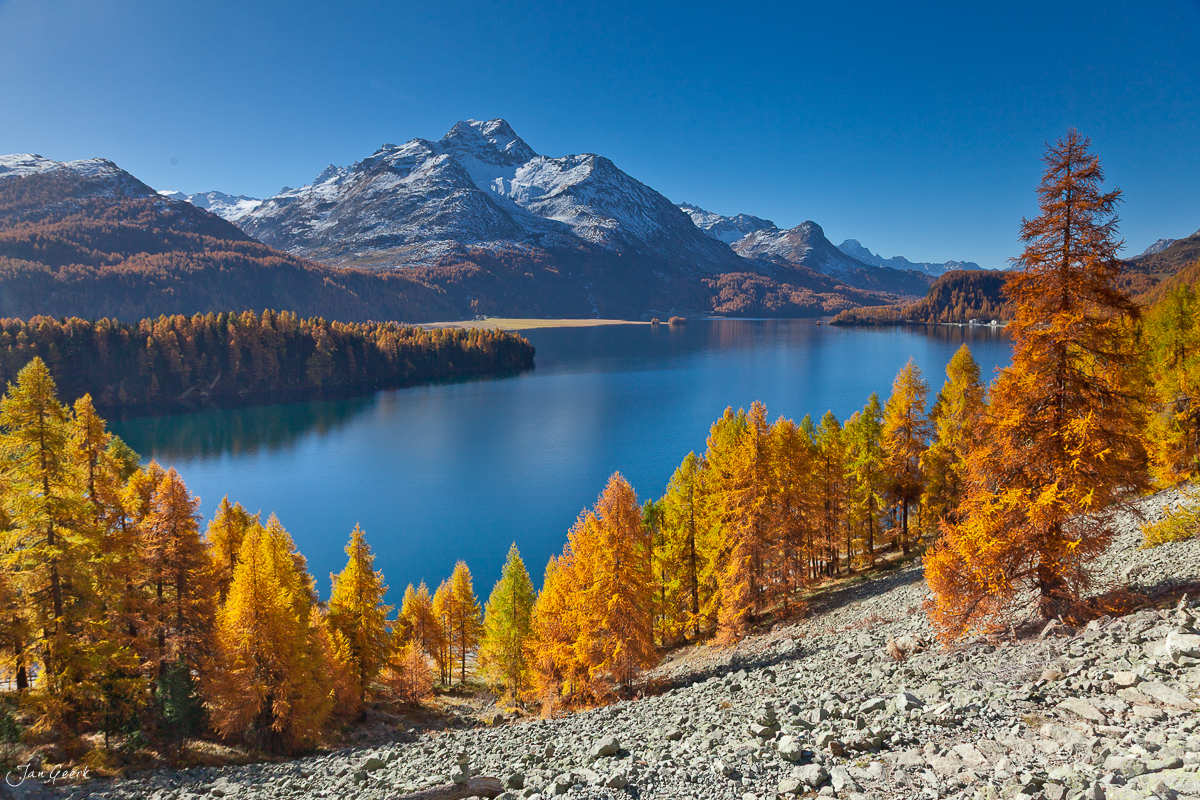 Herbstliche Lärchenwälder am Silsersee Oberengadin Graubünden Schweiz Jan Geerk
