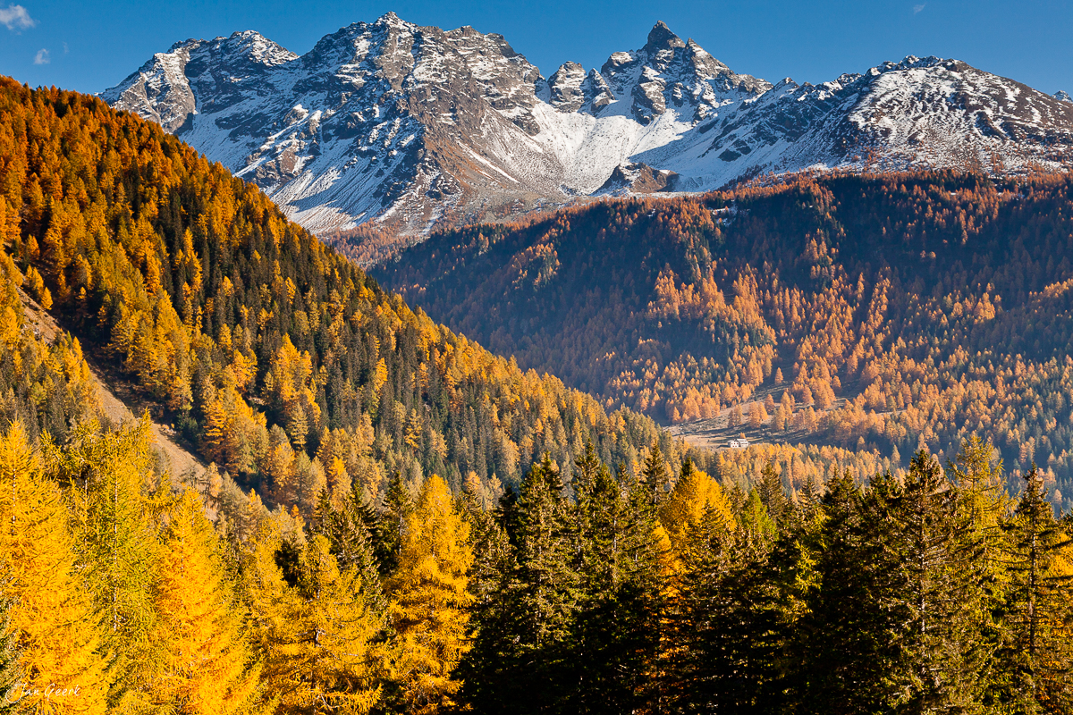 Herbstliche Lärchenwälder Engadin Bernina Schweiz – Jan Geerk Fotograf Basel