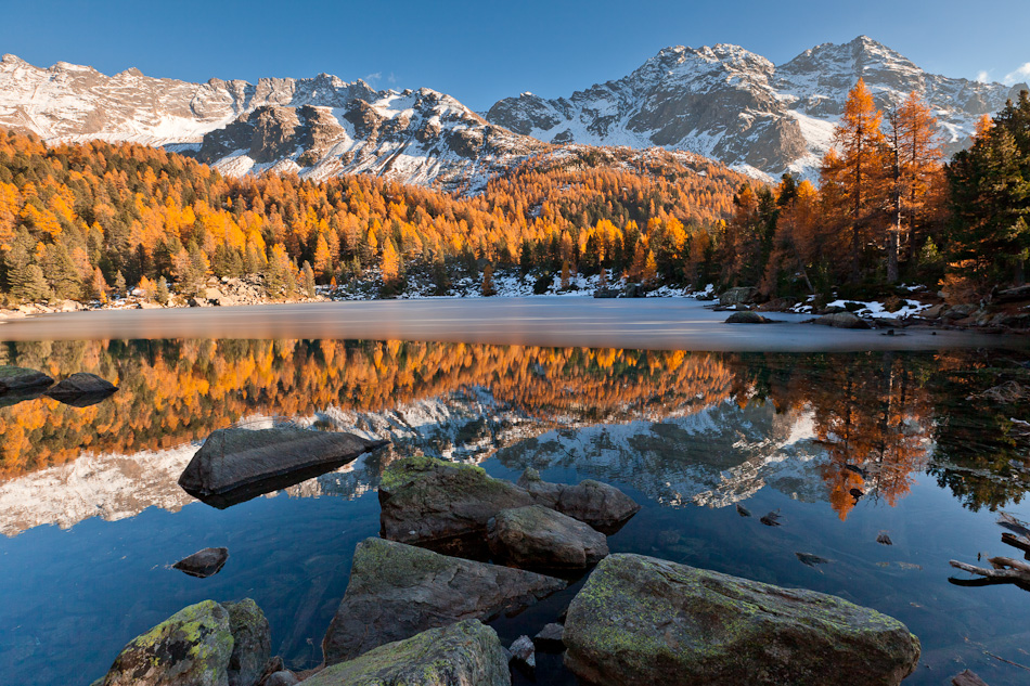 Alpensee mit goldenen Lärchen Herbstspiegelung Engadin Graubünden Schweiz Jan Geerk Fotograf Basel