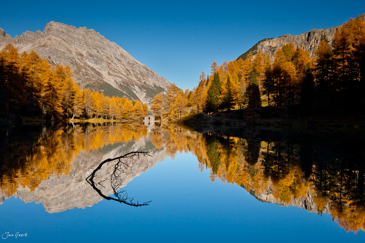 Herbstliche Lärchenwälder spiegeln sich in klarem Bergsee Engadin Graubünden Schweiz Jan Geerk