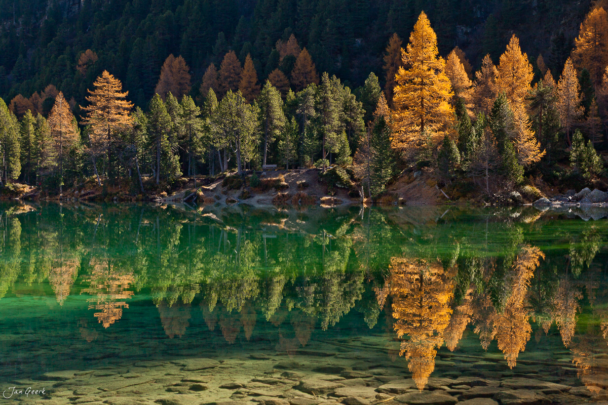 Herbstliche Lärchenwälder spiegeln sich in Alpensee Engadin Graubünden Schweiz Jan Geerk