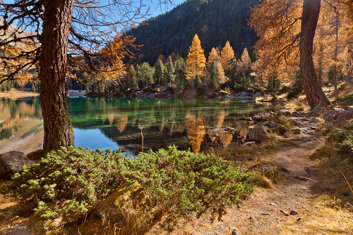 Alpiner See mit Lärchenwäldern in Herbstfärbung Engadin Graubünden Schweiz Jan Geerk Fotograf Basel