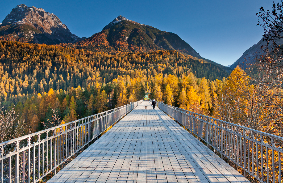 Holzsteg Herbstwald Lärchen Engadin Graubünden Schweiz Jan Geerk Fotograf Basel