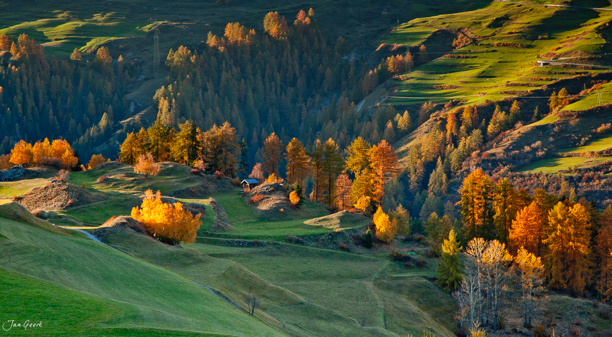 Herbstliche Lärchenwälder Engadin Ofenpass Sonnenaufgang Graubünden Schweiz Jan Geerk