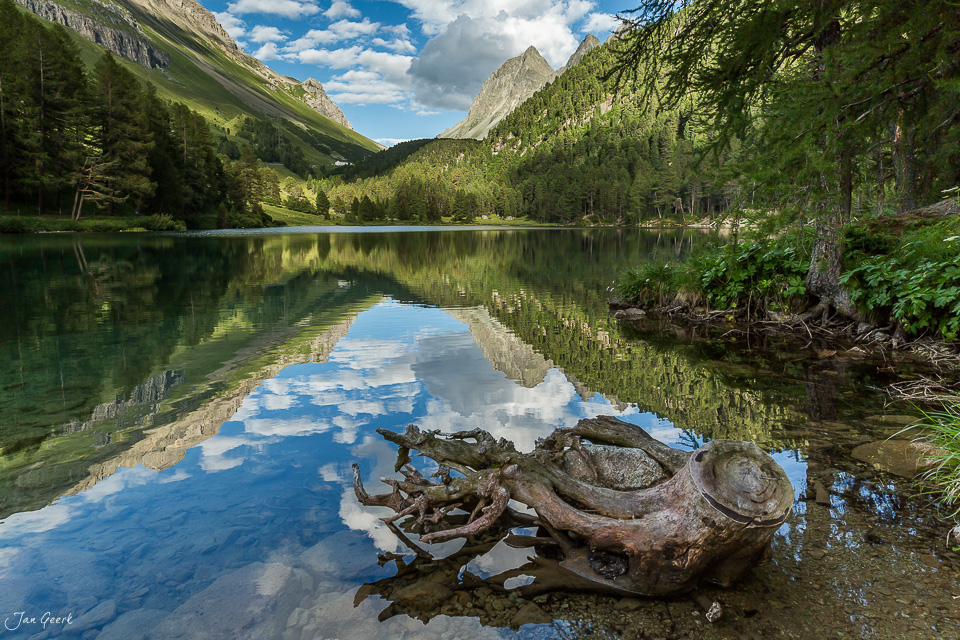 Spiegelnder Bergsee mit Totholz im Wasser, umgeben von Fichten und Alpengipfeln, Sommertag im Engadin Graubünden Schweiz – Jan Geerk Fotograf Basel