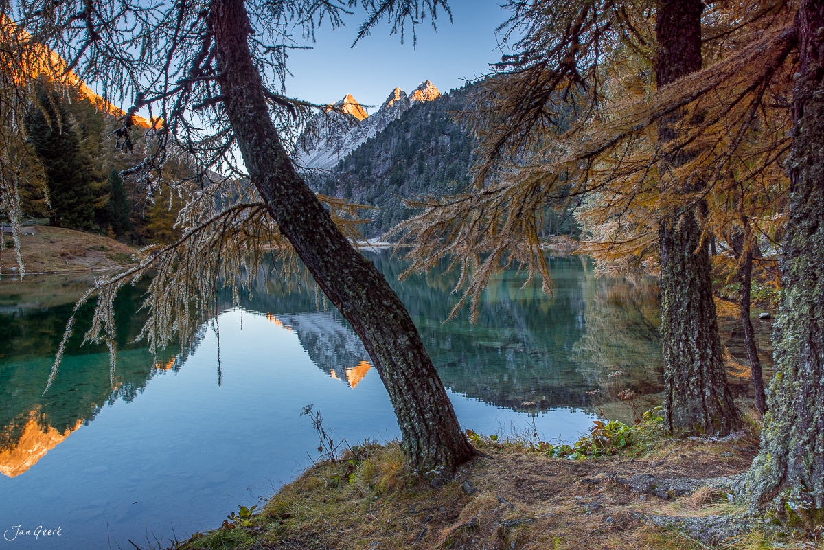 Herbstliche Lärchen am Palpuognasee mit Spiegelung der Berggipfel im klaren Wasser, Engadin Graubünden Schweiz – Jan Geerk Fotograf Basel