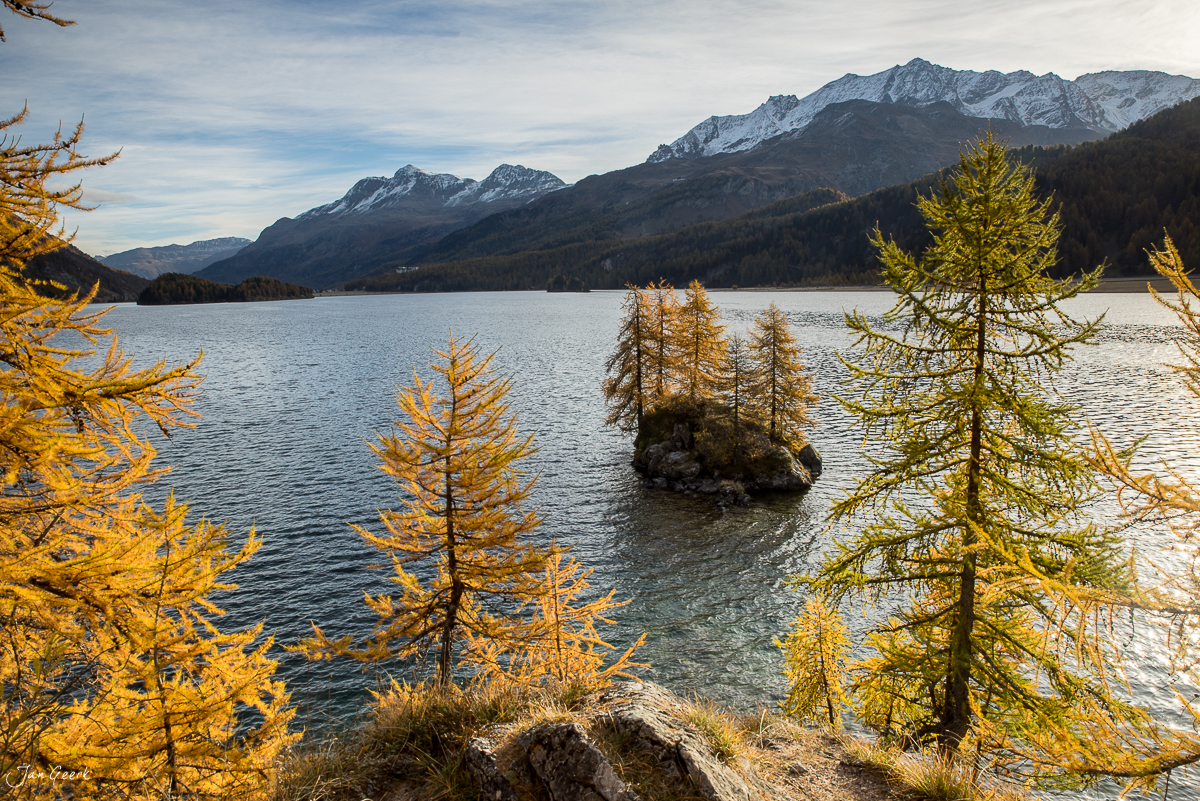 Herbstliche Lärchen am Silsersee mit schneebedeckten Bergspitzen im Engadin, Graubünden Schweiz – Jan Geerk Fotograf Basel