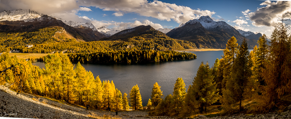 Herbstliches Segl Silsersee Engadin mit goldenen Lärchen Schneebergen Sonnenlichtstimmung Schweiz Jan Geerk Fotograf Basel