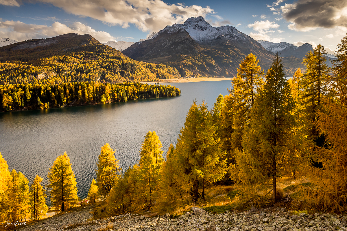Herbstliche Lärchen am Silsersee mit schneebedeckten Berggipfeln im Engadin Graubünden Schweiz – Jan Geerk Fotograf Basel