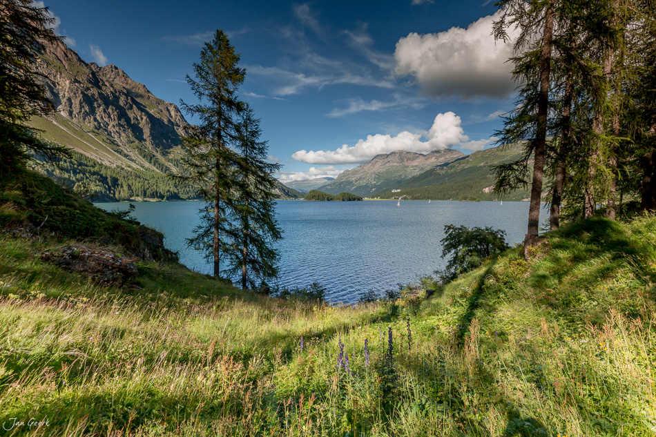 Alpiner See mit Bergpanorama, Lärchenwälder und Segelbooten im Engadin, Sommerliche Berglandschaft Graubünden Schweiz – Jan Geerk Fotograf Basel