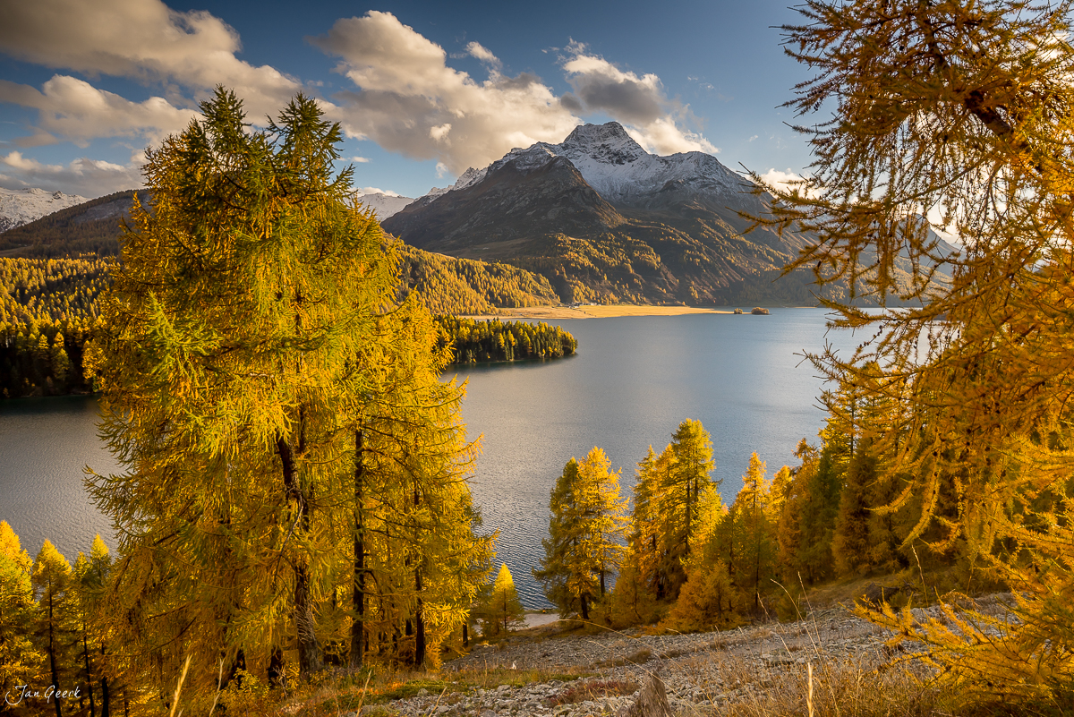 Herbstliche Lärchenwälder am Silsersee mit schneebedecktem Berg im Engadin, golden gefärbte Bäume spiegeln sich im Wasser, Graubünden Schweiz – Jan Geerk Fotograf Basel