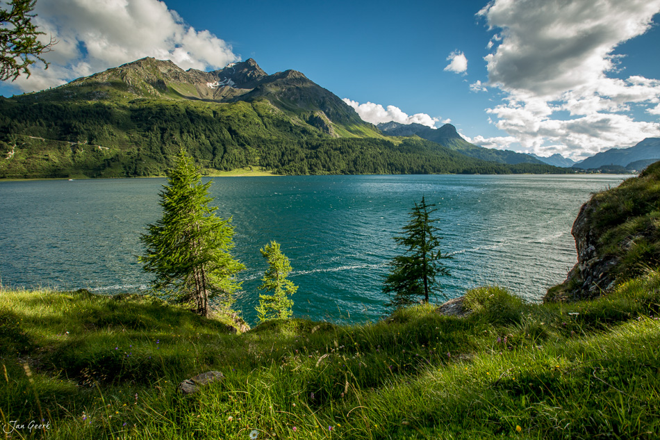 Türkisblauer Bergsee mit grünen Fichtenwäldern und schneebedeckten Gipfeln im Engadin Sommer Schweiz – Jan Geerk Fotograf Basel
