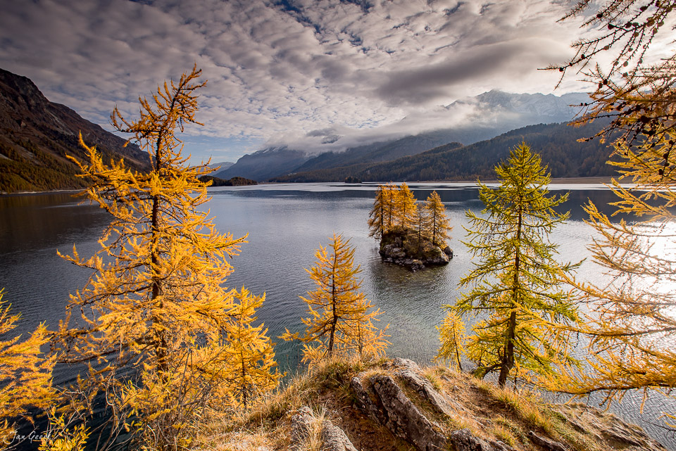 Herbstliche Lärchen am Silsersee mit goldenem Laub, Berge und Wolken, Engadin Graubünden Schweiz – Jan Geerk Fotograf Basel