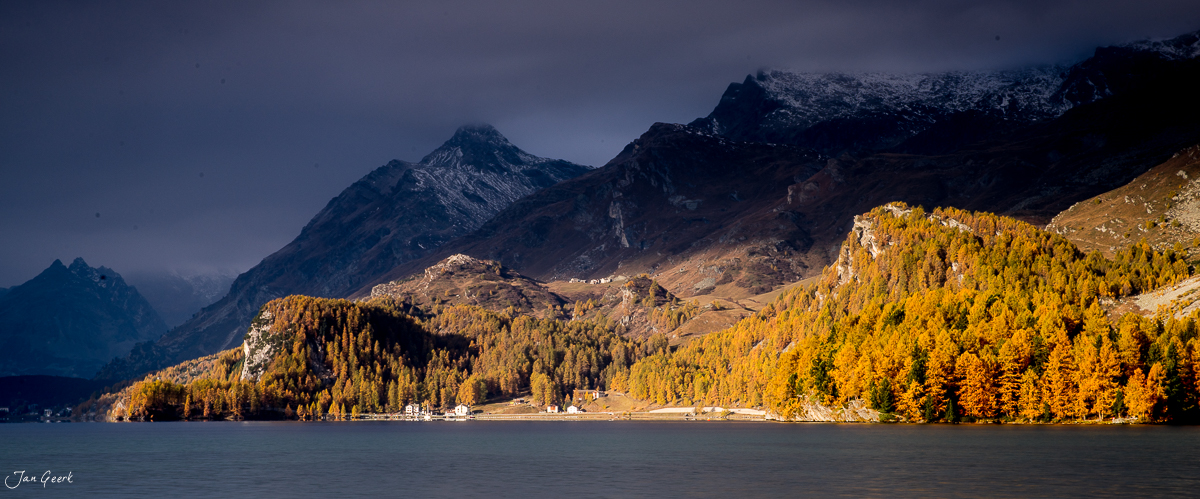 Herbstliche Lärchenlandschaft am Silsersee mit schneebedeckten Alpengipfeln im Engadin Graubünden Schweiz – Jan Geerk Fotograf Basel