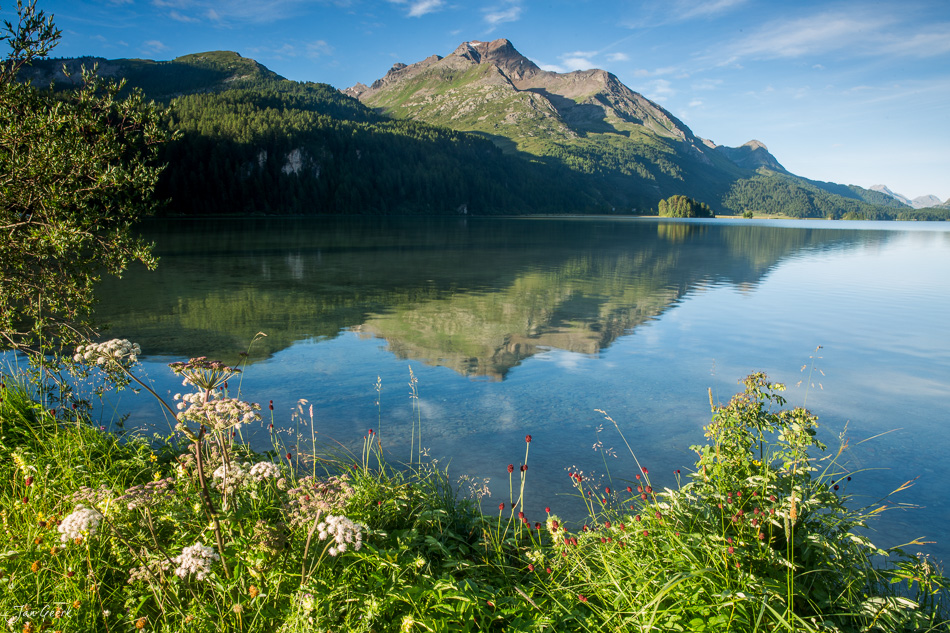 Spiegelglatter Bergsee mit grünen Wiesen und Bergpanorama im Sommer, Engadin Graubünden Schweiz – Jan Geerk Fotograf Basel