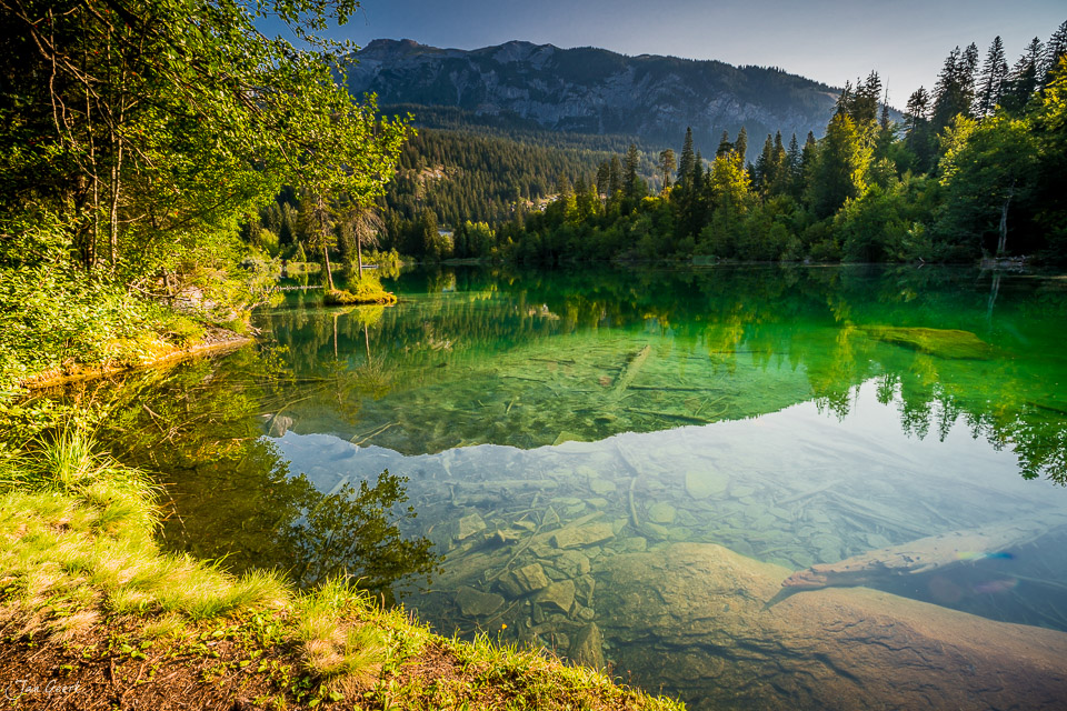 Grüner Bergsee mit Spiegelung, umgeben von Wald und Bergen, Sommerlicht in Flims Graubünden Schweiz – Jan Geerk Fotograf Basel
