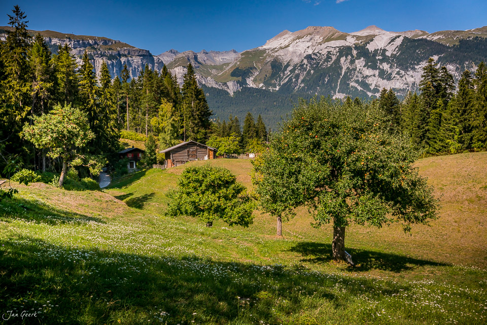 Alpweide mit Berghütte und Lärchwald vor Bergkette im Sommer, Flims Graubünden Schweiz – Jan Geerk Fotograf Basel