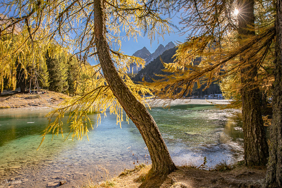 Lärchenbäume mit Herbstfärbung am Palpuognasee, klare Herbststimmung, Graubünden Schweiz – Jan Geerk Fotograf Basel