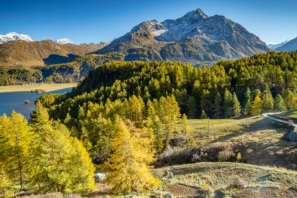 Herbstliche Bergseen mit Lärchenwäldern und schneebedeckten Gipfeln in Graubünden Schweiz Jan Geerk Fotograf Basel