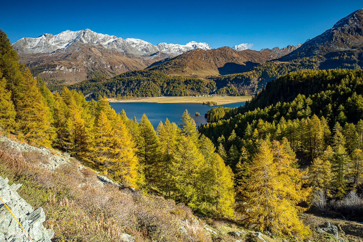 Bergsee mit Lärchenwälder im Herbst, schneebedeckte Gipfel im Hintergrund, Graubünden Schweiz – Jan Geerk Fotograf Basel