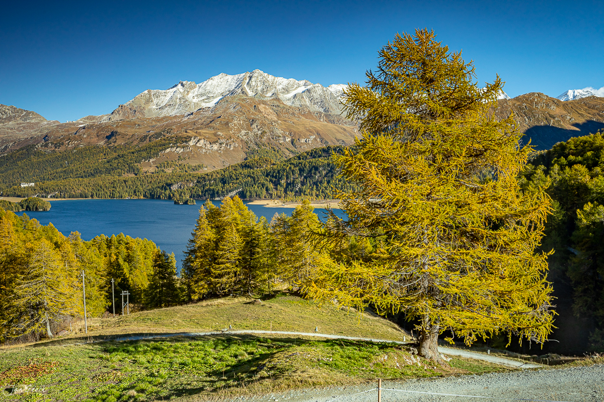 Bergsee mit Lärchen im Herbst, Engadin Graubünden Schweiz – Jan Geerk Fotograf Basel