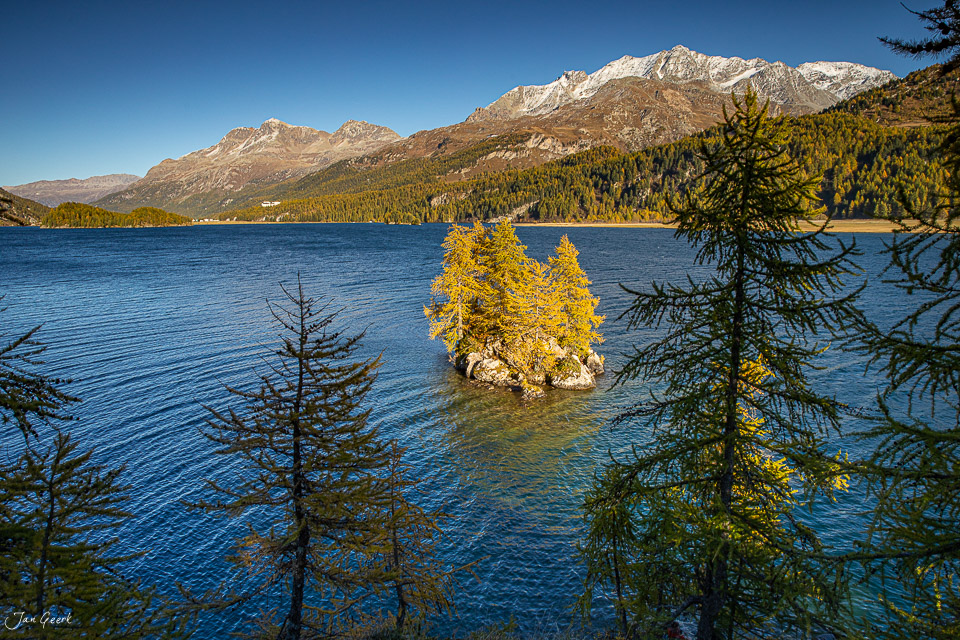 Herbstliche Lärchen am Silsersee mit schneebedeckten Bergen in Graubünden Schweiz – Jan Geerk Fotograf Basel