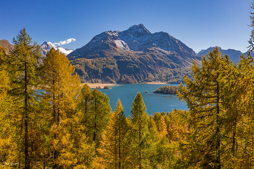 Alpensee mit Lärchenwäldern im Herbst, Silsersee Engadin Graubünden Schweiz – Jan Geerk Fotograf Basel