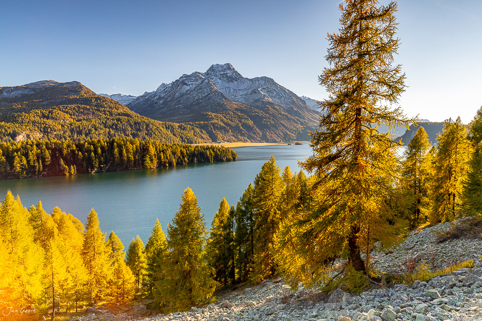 Silsersee mit Herbstlärchen und Bergen im Engadin, goldenes Herbstlicht, Graubünden Schweiz – Jan Geerk Fotograf Basel