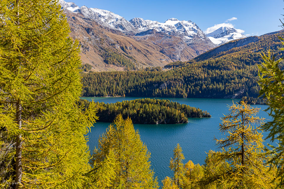 Silsersee mit Lärchenwäldern im Herbst, schneebedeckte Berge, Engadin Graubünden Schweiz – Jan Geerk Fotograf Basel