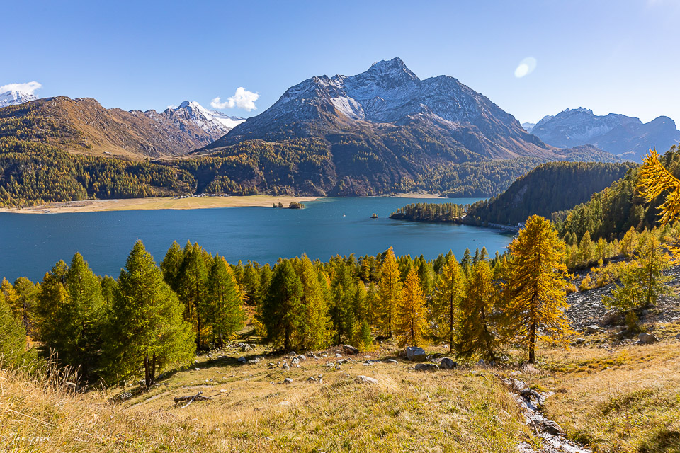 Silsersee mit Lärchenwald in Herbstfärbung, Engadin Graubünden Schweiz – Jan Geerk Fotograf Basel