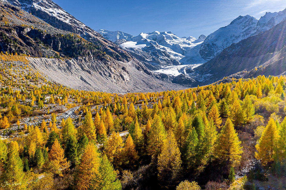 Herbstliche Lärchenwälder und Gletscher im Morteratsch Graubünden Schweiz – Jan Geerk Fotograf Basel
