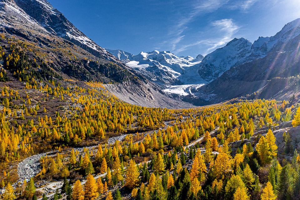Herbstliche Lärchenwald mit Gletscher Morteratsch Graubünden Schweiz – Jan Geerk Fotograf Basel
