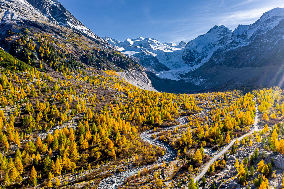 Herbstliche Lärchenwälder mit Gletscher im Morteratsch-Tal, Graubünden Schweiz – Jan Geerk Fotograf Basel