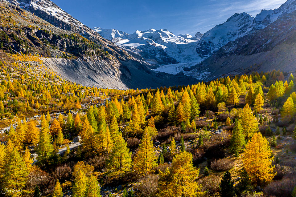 Herbstliche Lärchenwälder und Gletscher im Tal Morteratsch golden gefärbt Graubünden Schweiz – Jan Geerk Fotograf Basel