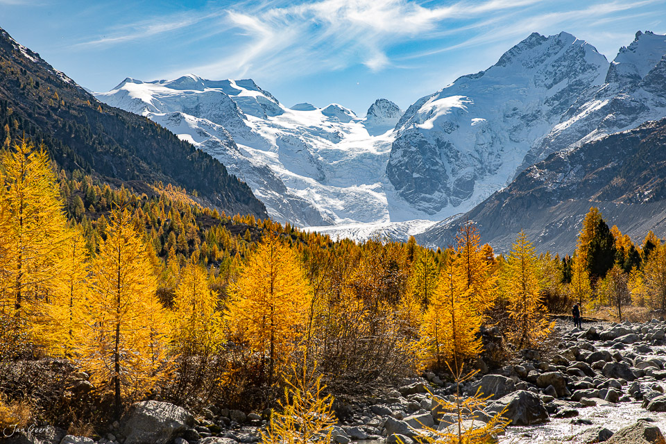 Herbstliche Lärchenwald mit schneebedeckten Gletschern im Hintergrund, Morteratsch Graubünden Schweiz – Jan Geerk Fotograf Basel