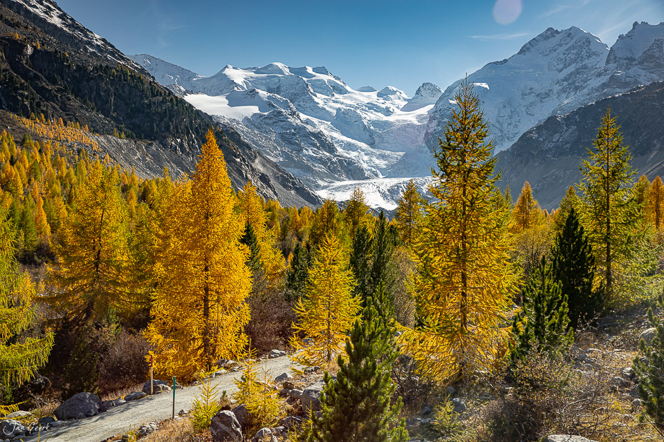 Lärchenwälder in Herbstfarben mit Gletscher und Bergpanorama Morteratsch Graubünden Schweiz – Jan Geerk Fotograf Basel