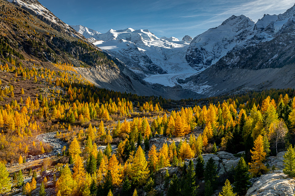 Lärchenwald mit Gletscherlandschaft im Herbst in Graubünden Schweiz – Jan Geerk Fotograf Basel