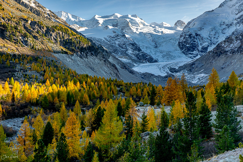 Lärchenwälder in Herbstfarben am Morteratsch Gletscher mit schneebedeckten Alpen, Graubünden Schweiz – Jan Geerk Fotograf Basel