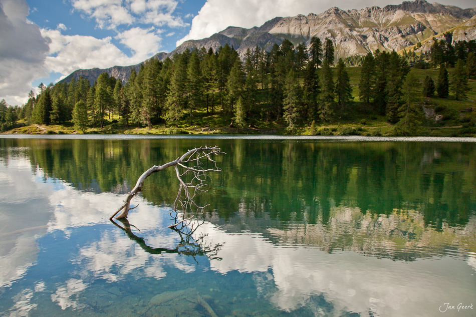 Palpuognasee Lärche Spiegelung Sommer Graubünden Schweiz – Jan Geerk Fotograf Basel