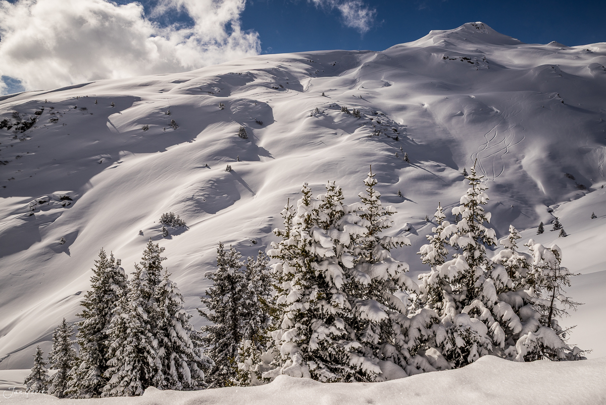 Schneebedeckte Berglandschaft mit verschneiten Fichten in Laax, Graubünden, Schweiz – Jan Geerk Fotograf Basel