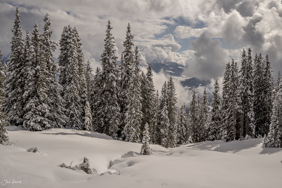 Verschneite Fichtenwälder und Bergpanorama in Laax, Winterlandschaft in Graubünden Schweiz – Jan Geerk Fotograf Basel