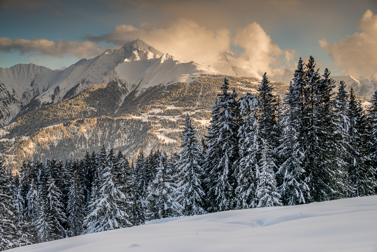 Schneebedeckte Fichten und verschneite Berge bei Laax im Winter, Graubünden Schweiz – Jan Geerk Fotograf Basel